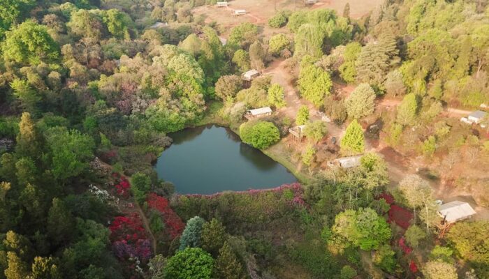 africamps magoebaskloof limpopo south africa boutique glamping
